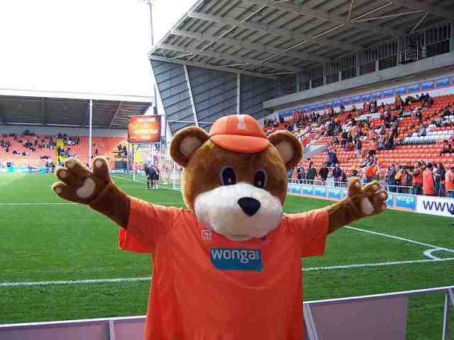 Bloomfield Bear from Blackpool